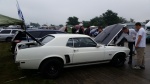 Shows & Treffen - 2014 - 14tes Abzelten des Ford Club Berlin e.V. - Bild 21 Shows & Treffen - 2014 - 14tes Abzelten des Ford Club Berlin e.V. - Bild 21