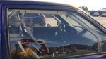 Shows & Treffen - 2019 - 19tes Abzelten des Ford Club Berlin e.V. - Bild 48 Shows & Treffen - 2019 - 19tes Abzelten des Ford Club Berlin e.V. - Bild 48